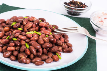 Spicy dish of red beans with green onions and spices