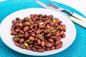 Spicy dish of red beans with green onions and spices
