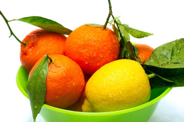 Bowl of tangerines and lemon isolated
