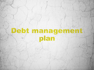 Finance concept: Debt Management Plan on wall background
