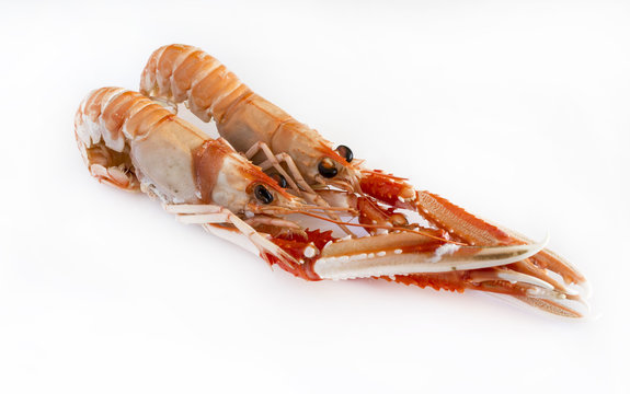 Cooked crawfish on white background