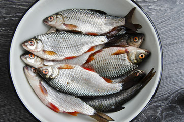 Fresh fish