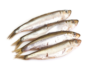 Marinated anchovies isolate on a white background
