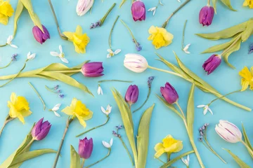 Afwasbaar Fotobehang Narcis Floral background