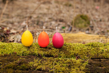 Three Easter candles in the shape of eggs on the moss