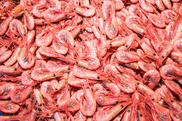Shrimps on display in sea food market.