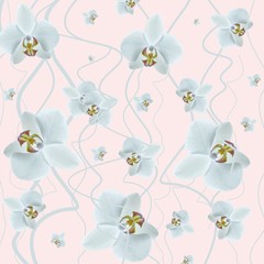 wallpaper orchid flowers in subtle colors - obrazy, fototapety, plakaty