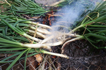 Calçots en la barbacoa y parrilla