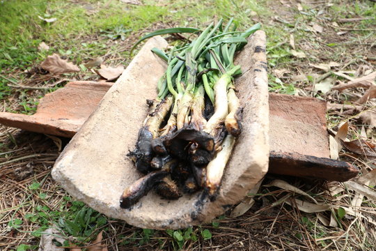 un manojo de cal&ccedil;ots cocidos sobre una teja
