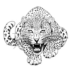 Leopard face tattoo ,Vector illustration, print