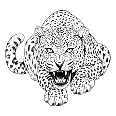 Foto op Plexiglas Leopard face tattoo ,Vector illustration, print © akhmett