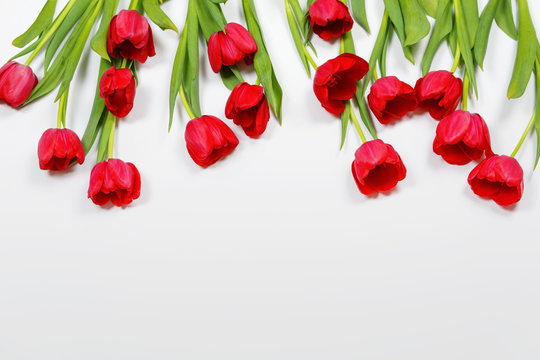 Tender red tulips flowers on light background. High top view.