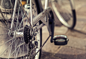 Bicycle. Chain and rear gear.