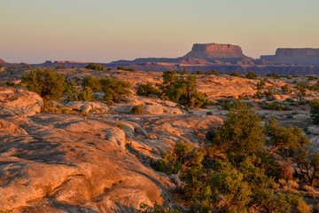 Island in the Sky at sunrise viewed from Slickrock foot trail
Needles District of Canyonlands National Park, Utah, United States
