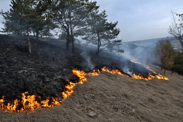 
The real environmental disaster and spring is not arson dry cut grass that grew around settlements