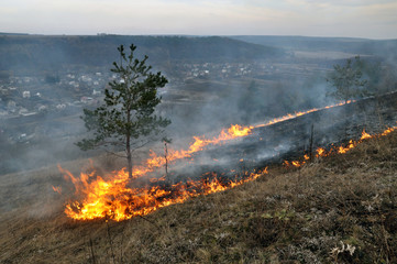 
The real environmental disaster and spring is not arson dry cut grass that grew around settlements