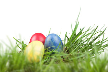 Easter colored eggs in the grass