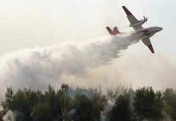 plane drops fire retardant and water on a forest fire - obrazy, fototapety, plakaty