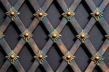 magnificent wrought-iron gates, ornamental forging, forged elements close-up