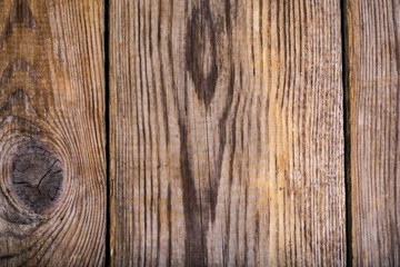 Fototapeta premium Different wood structure, blank template, abstract background