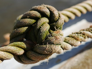Knoten