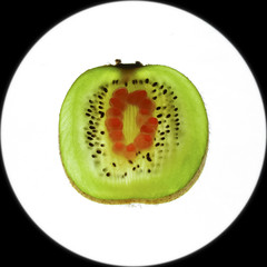 Kiwi in the context of