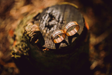 Two wedding rings in infinity sign on a wood. Love concept.