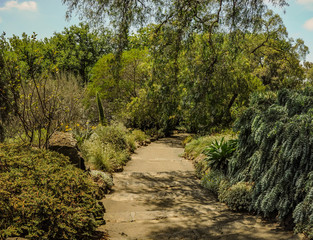 Fototapeta na wymiar Parks and gardens of Melbourne