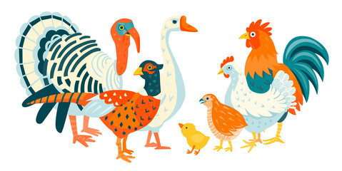 Group of domestic funny birds vector illustration cartoon style