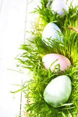 Easter eggs in Fresh Green Grass