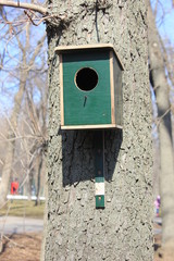 houses for the birds birdhouses