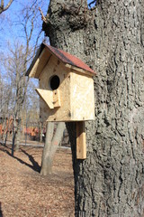 houses for the birds birdhouses