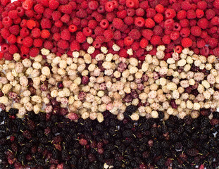 Various berries background. black mulberry, raspberry, white mulberry