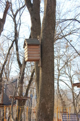 houses for the birds birdhouses