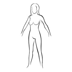 female stylized body contour icon vector illustration