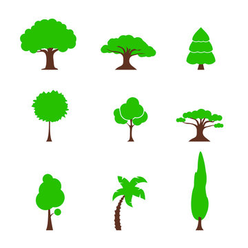 tree set simple