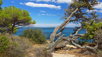 Pointe des plages d’Acciaju et Folacca de Porto-Vecchio en Corse
