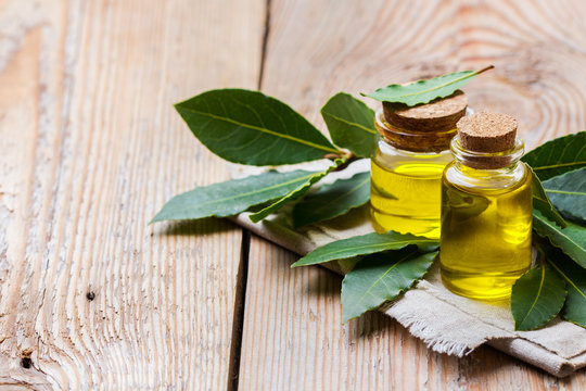Natural bay laurel essential oil for beauty and spa