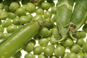 Fresh raw green peas and empty pods on white background