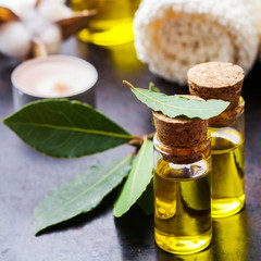 Natural bay laurel essential oil for beauty and spa