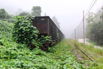 Train in Morning Fog
