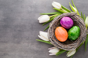 Spring greeting card. Easter eggs in the nest. Spring flowers tulips.