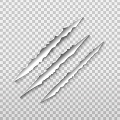 Vector claw scratch on the transparent background. - obrazy, fototapety, plakaty