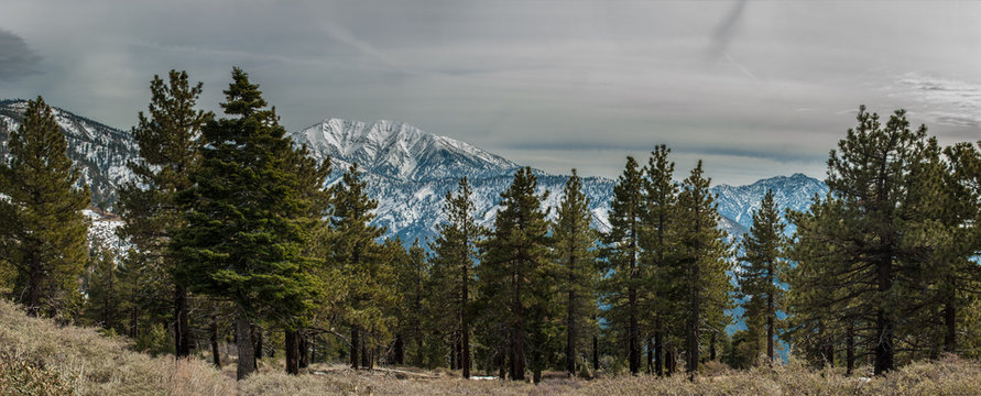 Panoramic view of Blue Ridge covered in snow of Angeles National Forest.