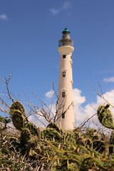 Lighthouse with cactus