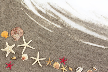 Starfishes and sea shells on beach sand