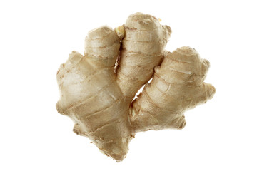 Ingwer Wurzel