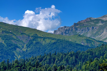 Mountain landscape with snow and forest
