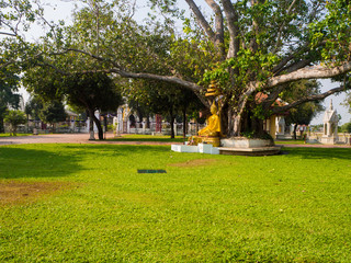 Fototapeta premium Wat Niwet Thammaprawat (Gothic style) Ayutthaya,Thailand