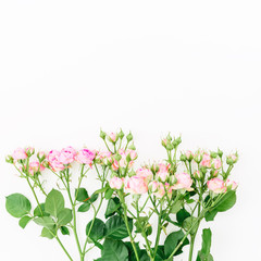 Pink roses and leaves on white background. Flat lay, top view. Floral background. 